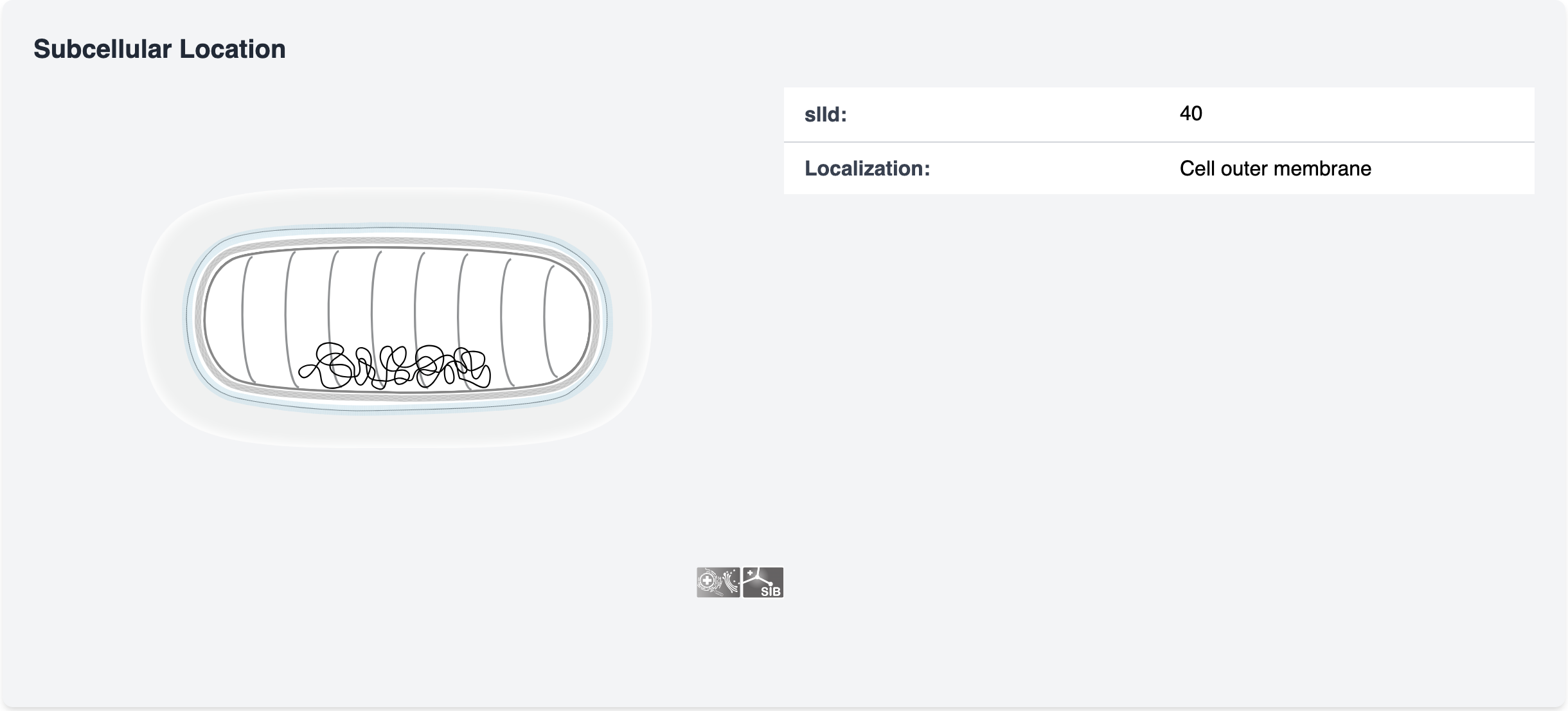 Subcellular Location View